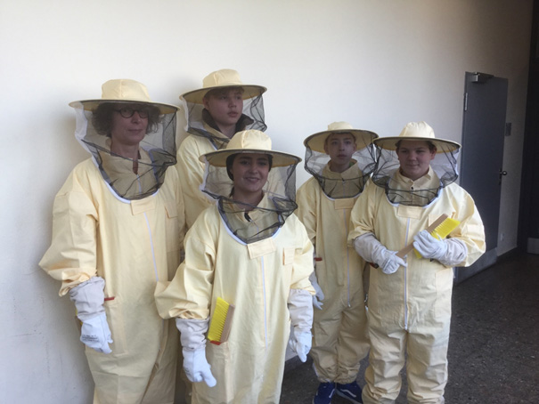 Bienen in der GHS